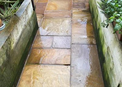 Garden path cleaned of algae