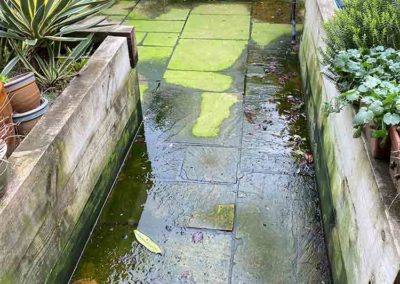 Garden path before cleaning