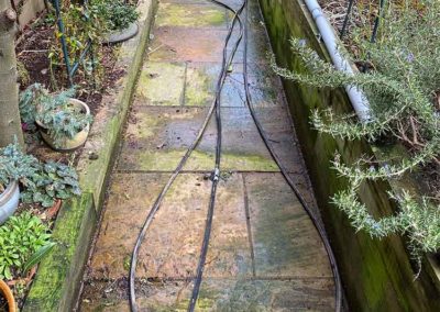 Garden path slabs before cleaning
